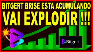 BITGERT BRISE ESTA ACUMULANDO VAI EXPLODIR !