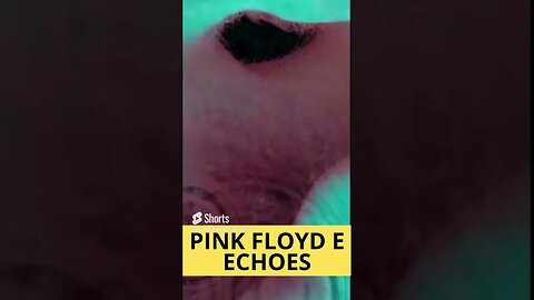 PINK FLOYD E ECHOES