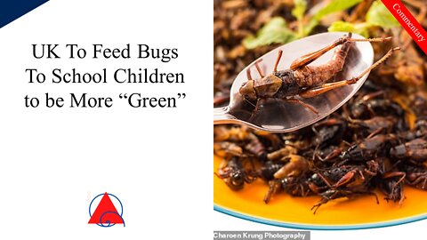 UK to Try Out Feeding Bugs to School Kids