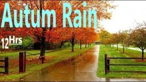 Autumn Heavy Rain fall Sounds for Sleep Work Focus Study Meditate Relieve Stress Soothe Baby- 12 hrs