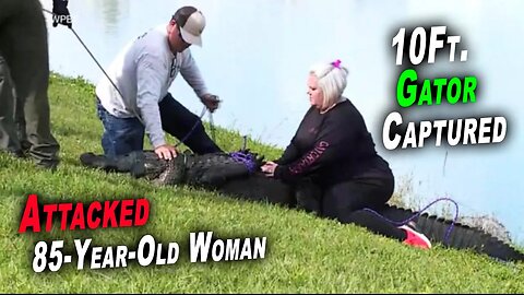 10ft. Gator Captured that Attacked 85-Year-Old Woman