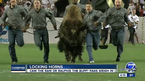 Ralphie the Buffalo or Cam the Ram? The Rocky Mountain Showdown of animal mascots