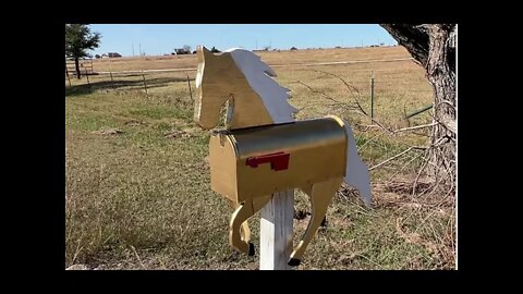 Buddy Horse Gets A Makeover - Looking Good For The Winter - Slid In An Old Vid I Found