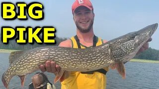 BIG TOOTHY PIKE (Mississippi RIver)