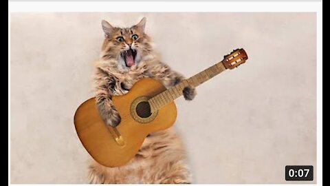 Cute cat singing a song /Cute animals videos/Full screen for all status.# shorts.