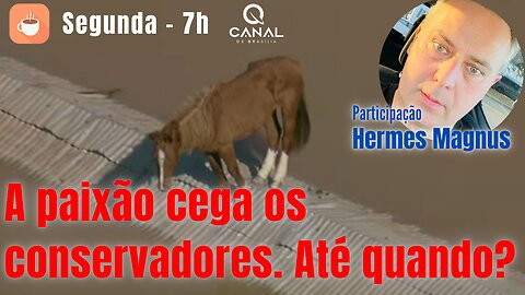 Oportunismo x Ingenuidade - o desafio dos conservadores