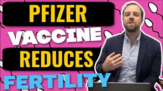 Pfizer Covid Vaccine Reduces Fertility, Sperm Concentration & Motile Counts | New Israel Study