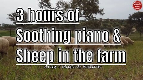 Soothing music with piano and countryside sound for 3 hours, music to focus and concentration