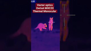 The Vector Optics Owlset MXC20 Thermal Monocular! 🦉