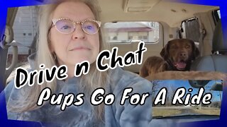 Drive n Chat: Pups Go For A Ride 😛😛😛