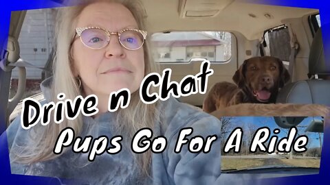 Drive n Chat: Pups Go For A Ride 😛😛😛