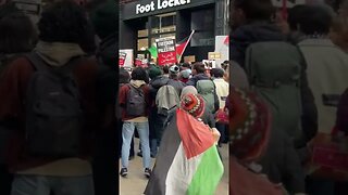 Leeds Pro-Palestinian protest (Nov 11th 2023) #leeds #protest