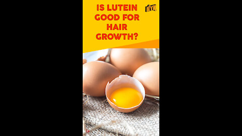 Top 3 Benefits Of Eggs For Your Hair *