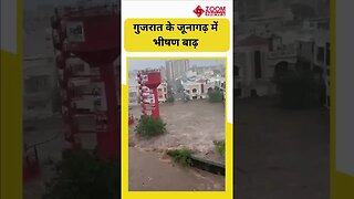 Junagadh Flood: गुजरात के जूनागढ़ में भीषण बाढ़, उफान में बह गए मवेशी और कई गांडियां