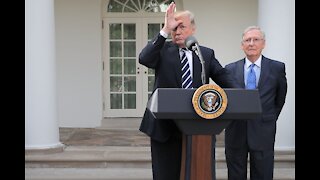Trump: If Only McConnell Hit Schumer, Biden as Hard as Me