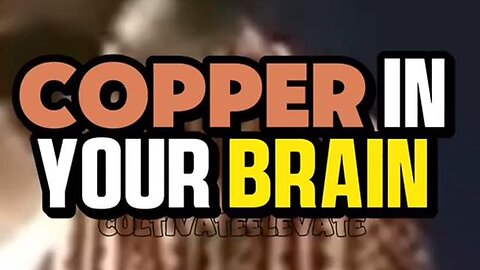 Copper In Your Brain - Copper Vs Iron - Cultivate Elevate