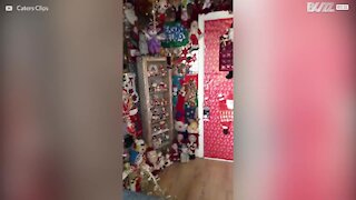 Mand dekorerer sit hjem med over 300 julemænd!