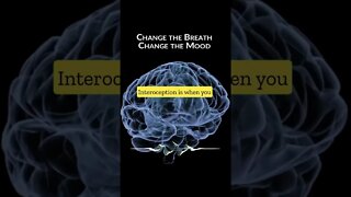 Use the Breath for Biohacking | Motivational Video #Shorts