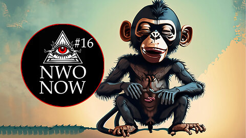 NWONOW #16 Monkey Games