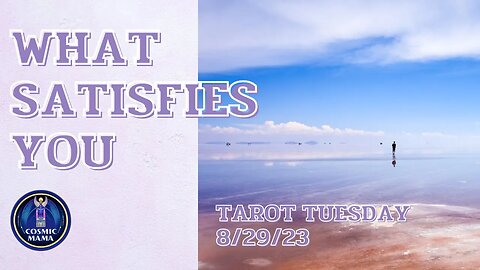 Tarot Tuesday with Terri Smith | Time for Introspection and Satisfaction | August 29nd 2023