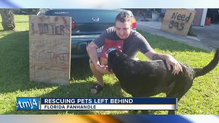 Wisconsin volunteers working to rescue pets after hurricane