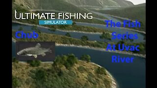 Ultimate Fishing Simulator: The Fish - Uvac River - Chub - [00034]