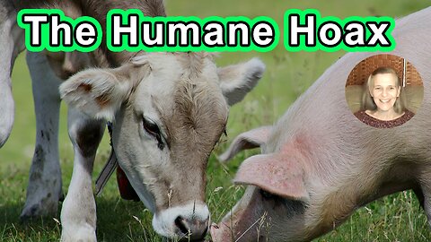 The Humane Hoax: Essays Exposing The Myth Of Happy Meat, Humane Dairy, And Ethical Eggs