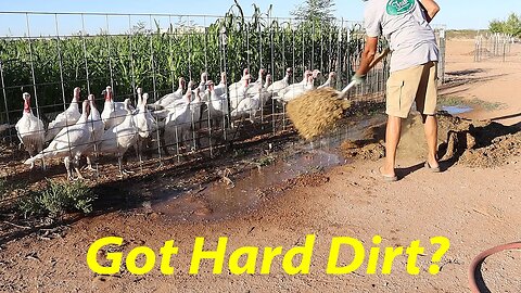 How We Prep Hard, Desert Soil for Planting | First Fall Harvest!