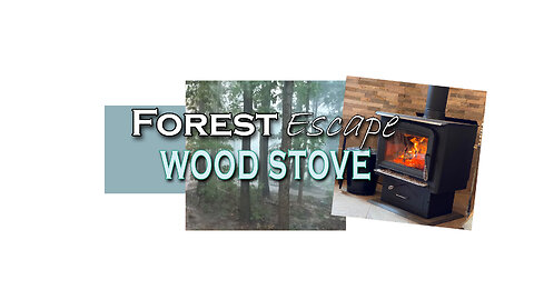 Forest Escape Cleaning the Wood Stove Ashes and Door Glass