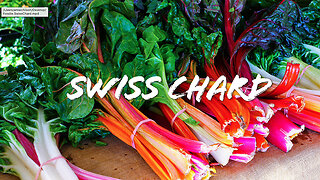 FOODIE || Farm-To-Table: Swiss Chard (2023)