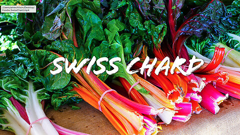 FOODIE || Farm-To-Table: Swiss Chard (2023)