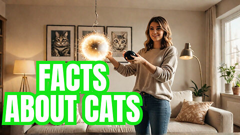 Cat Myths Exposed: Separating Fact from Fiction!