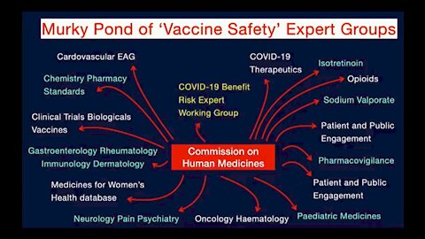 The Commission On Human Medicines.