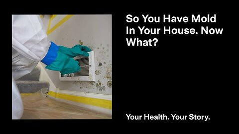 So You Have Mold In Your House. Now What?