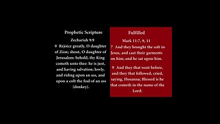 Jesus Fulfilled These Prophecies Part 5 #messiah #prophecy #shorts