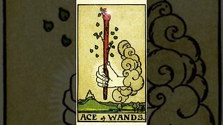 TAROT- The Ace of Wands ~ What is in the cards? #shorts #inspiration #tarot