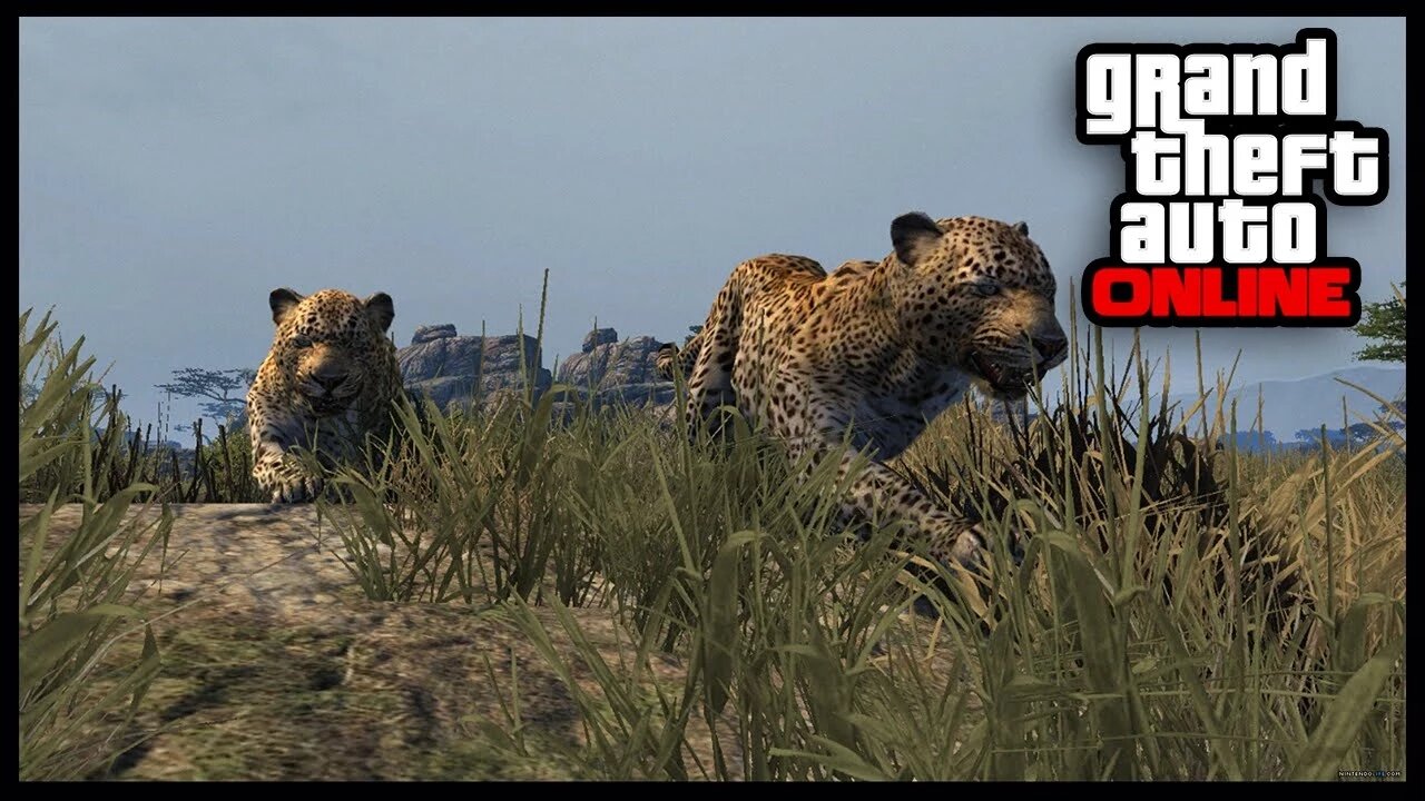 GTA 5 Mods - ANIMAL MOD ONLINE - Play As Animals In GTA 5 Online ! (GTA 5  Mods)