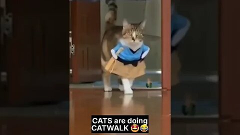 subscribe for more #baby#youtube#like#share#comment#cats#dogs#puppies#shorts#youtubeshorts#cute#funn