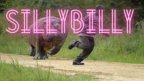 Funny Different Animals Chasing and Scaring People 2021 sillybilly