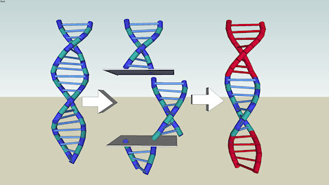 The Devil is after the DNA: The "vaccine" changes your DNA