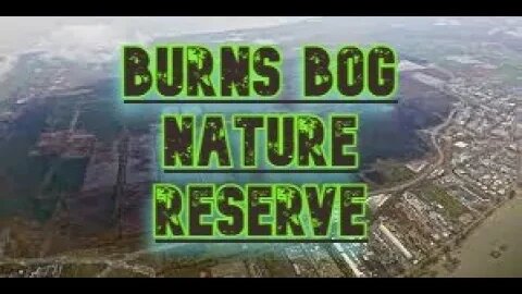 Exploring Burns Bog nature trail