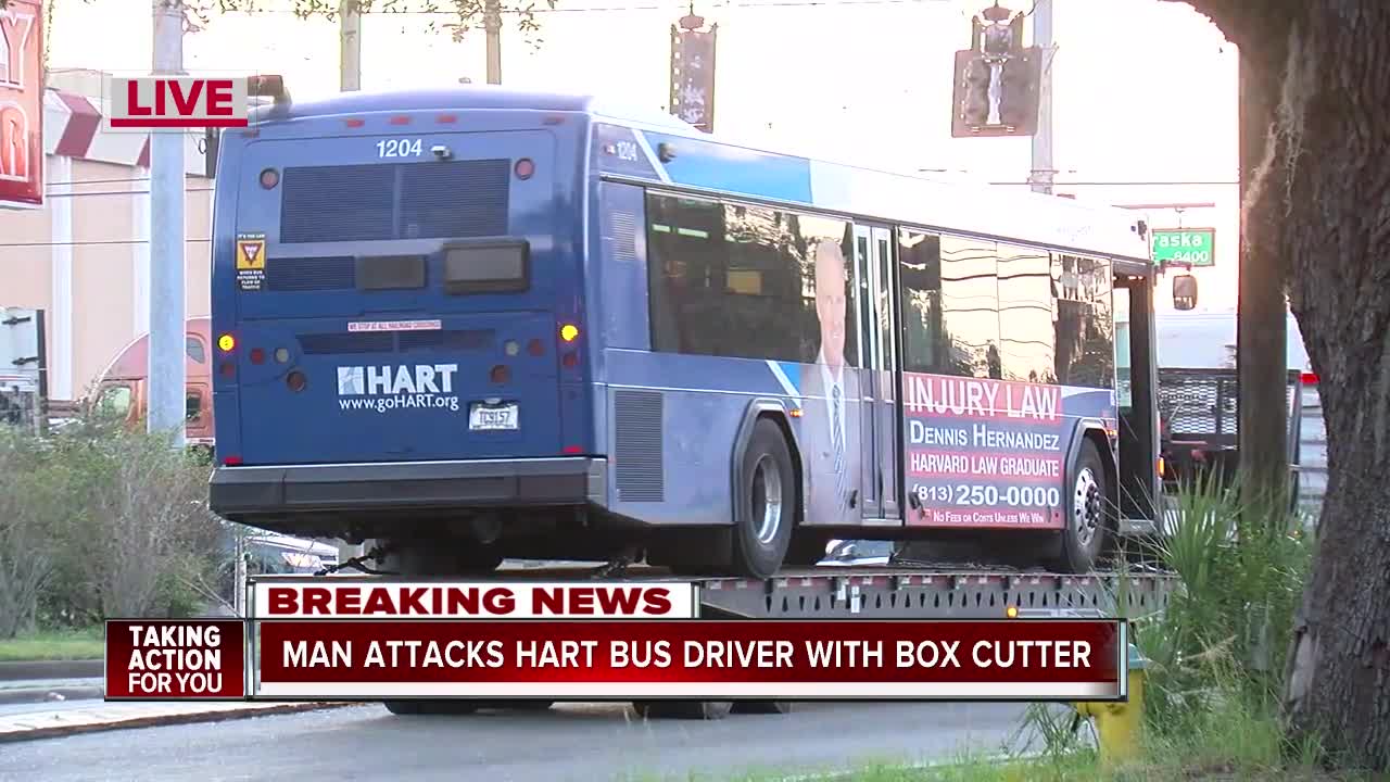 Man attacks HART bus driver with box cutter