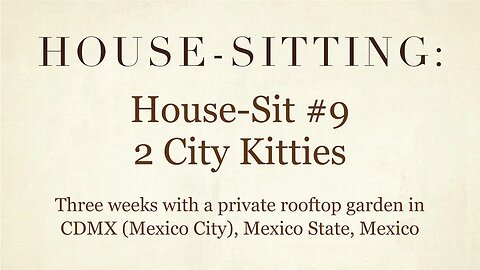 House-Sitting » House-Sit #9 » Two City Kitties » Colonia Cuauhtémoc, Mexico City, Mexico