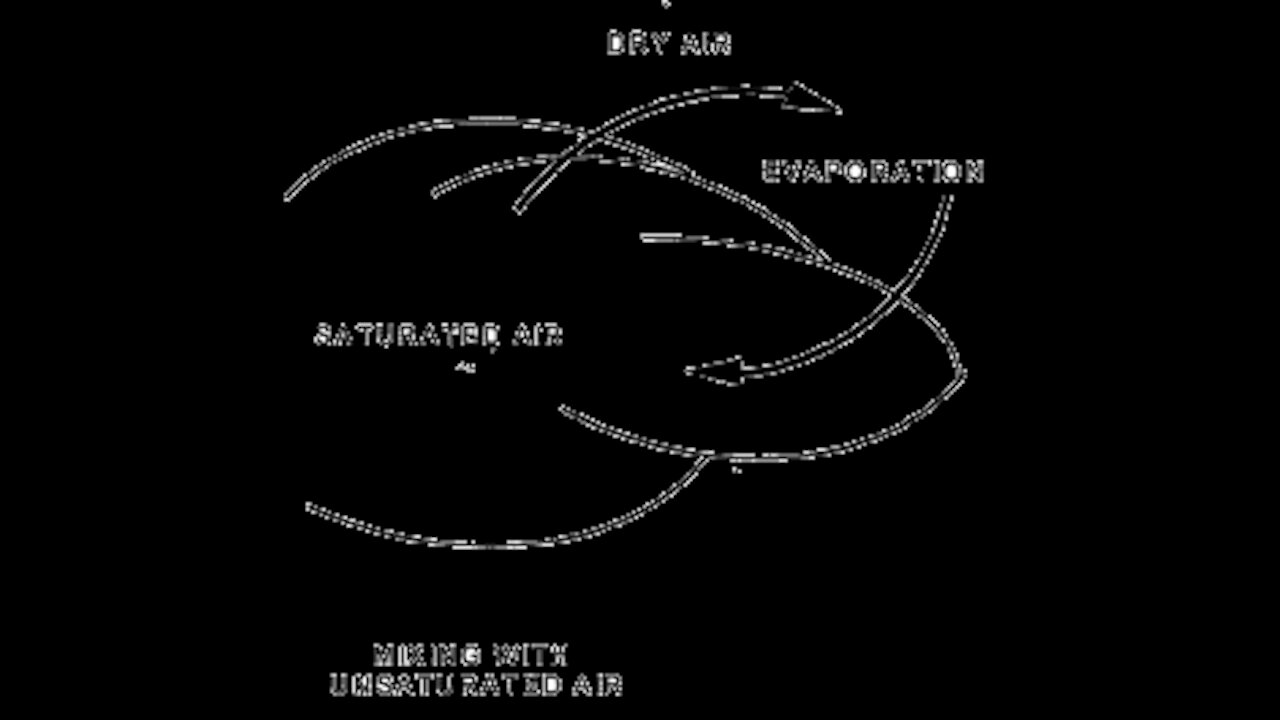 Cloud Dynamics The Different Fog Types
