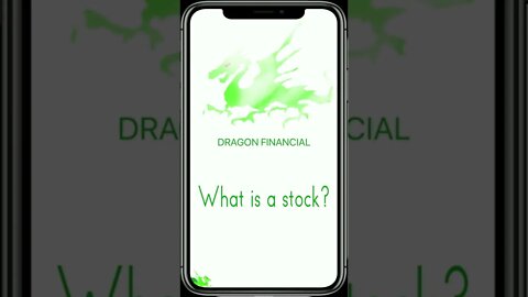 What is a stock?