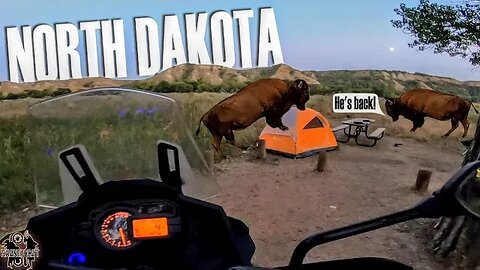 Moto Camping With Wild Horses & Buffalo in Theodore Roosevelt National Park!