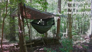Hammock camping in the new woods