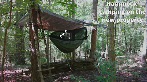 Hammock camping in the new woods