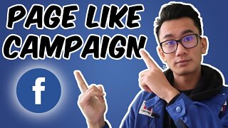 Page Like Campaign Tutorial - Get Facebook Page Likes Under $0.05