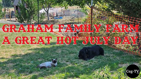 Graham Family Farm: A Great Hot July Day